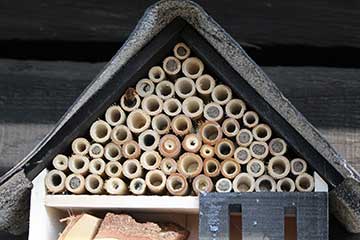 Insektenhotel